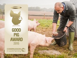 Denhay - Blog - Denhay Awarded Good Pig Award